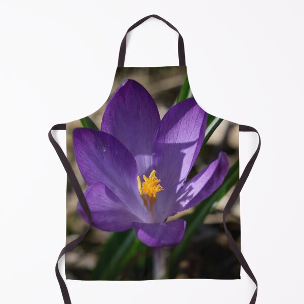 Item preview, Springflowers. Crocus designed and sold by Jouko Lehto Photography.