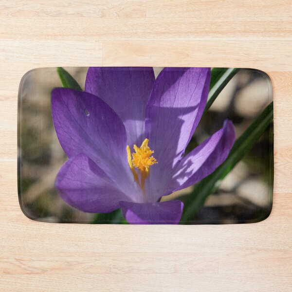 Item preview, Springflowers. Crocus designed and sold by Jouko Lehto Photography.