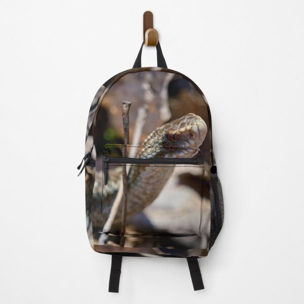 Item preview, Headshot. European viper designed and sold by Jouko Lehto Photography.