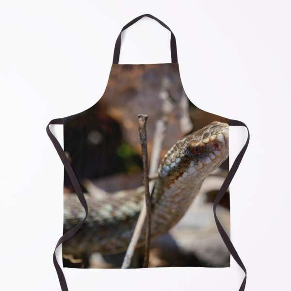 Item preview, Headshot. European viper designed and sold by Jouko Lehto Photography.