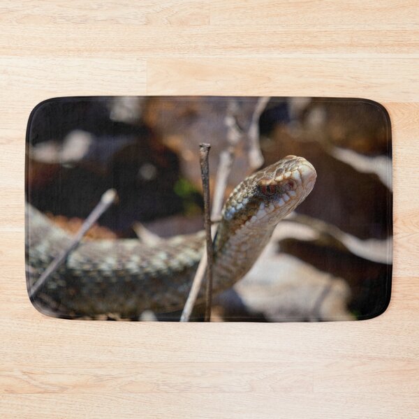 Item preview, Headshot. European viper designed and sold by Jouko Lehto Photography.