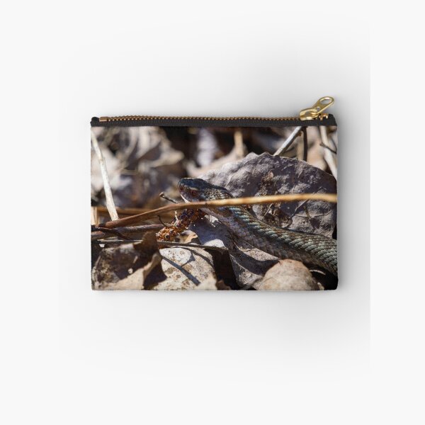 Item preview, Hiding in the sun. European viper designed and sold by Jouko Lehto Photography.
