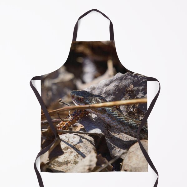 Item preview, Hiding in the sun. European viper designed and sold by Jouko Lehto Photography.