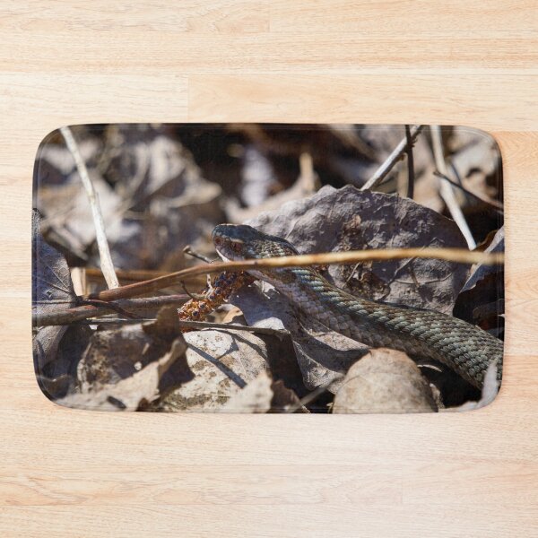 Item preview, Hiding in the sun. European viper designed and sold by Jouko Lehto Photography.