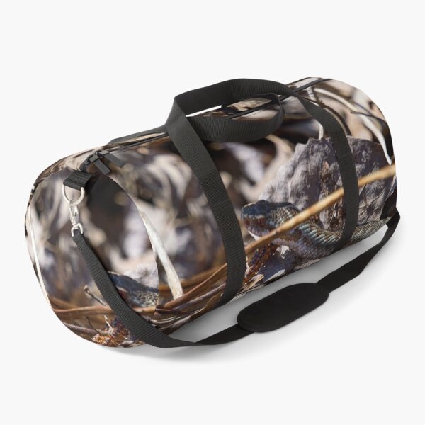 Item preview, Hiding in the sun. European viper designed and sold by Jouko Lehto Photography.