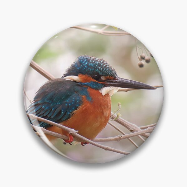 Item preview, Common Kingfisher Sitting on Branch designed and sold by Linda Walsh.