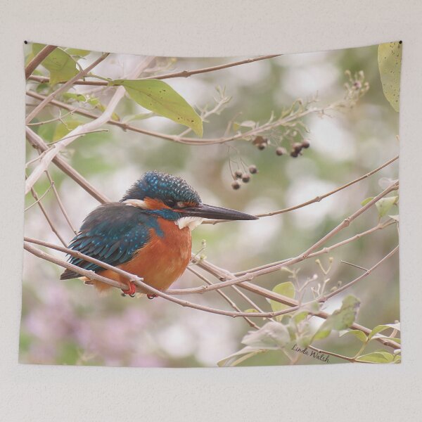 Item preview, Common Kingfisher Sitting on Branch designed and sold by Linda Walsh.