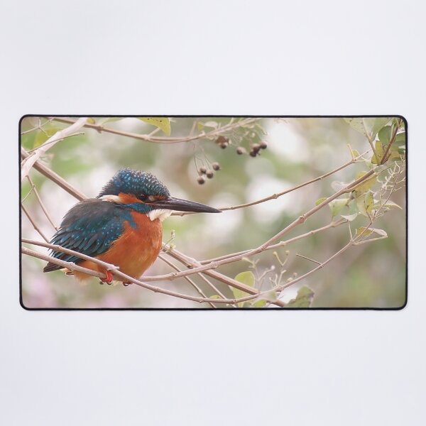 Item preview, Common Kingfisher Sitting on Branch designed and sold by Linda Walsh.