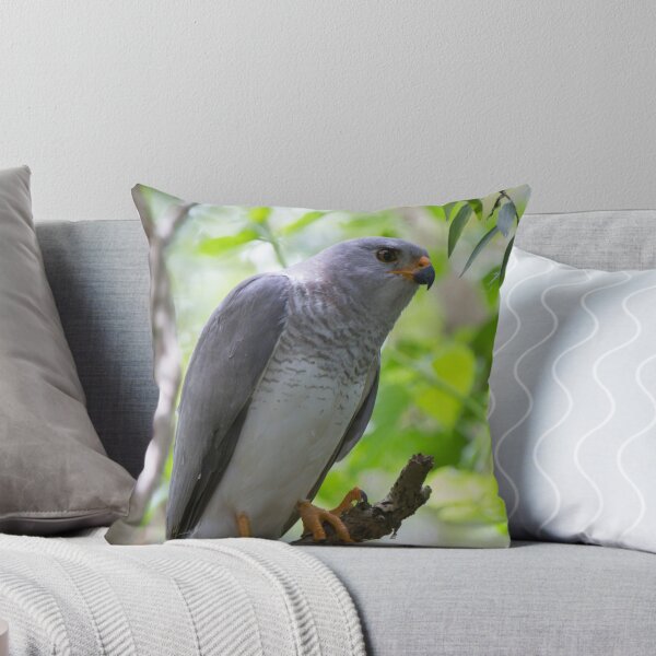 Item preview, Missed The Kill designed and sold by byronbackyard.