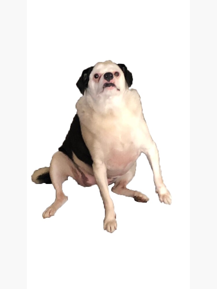 Discover ugly dog Premium Matte Vertical Poster