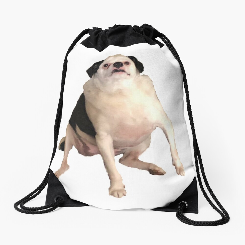 Drawstring Backpacks Bags,Black Silhouettes Of Pets In Various Positions Friendly Playful Dog Breed,Adjustable
