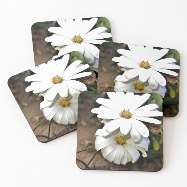 Item preview, white flower in the garden designed and sold by sadeek1021953Ss.