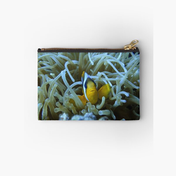 Item preview, Clown Fish Nemo anemones Marsa Alam Hurghada Red Sea designed and sold by Ahmed ElMekawy.