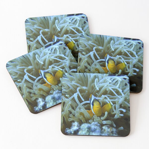 Item preview, Clown Fish Nemo anemones Marsa Alam Hurghada Red Sea designed and sold by Ahmed ElMekawy.