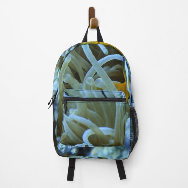 Item preview, Clown Fish Nemo anemones Marsa Alam Hurghada Red Sea designed and sold by Ahmed ElMekawy.