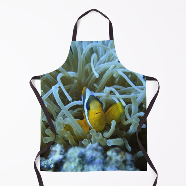 Item preview, Clown Fish Nemo anemones Marsa Alam Hurghada Red Sea designed and sold by Ahmed ElMekawy.