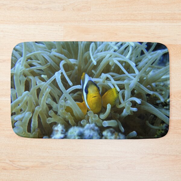 Item preview, Clown Fish Nemo anemones Marsa Alam Hurghada Red Sea designed and sold by Ahmed ElMekawy.