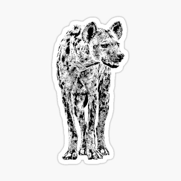 Spotted Hyena in Graphic Black and White Sticker