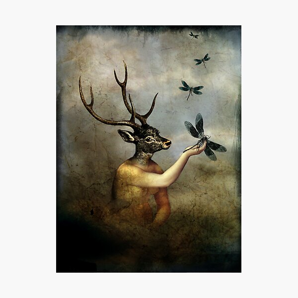 Farewell Photographic Print