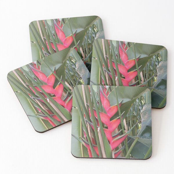 Item preview, Heliconia, Heliconias, Tropical Flower, Exotic Flower designed and sold by colorgallery11.
