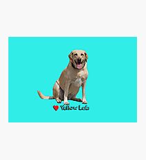 Yellow Lab Love Photographic Print