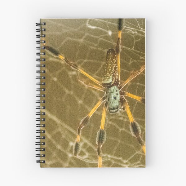 Item preview, Writing Spiders 2 designed and sold by KensLensDesigns.