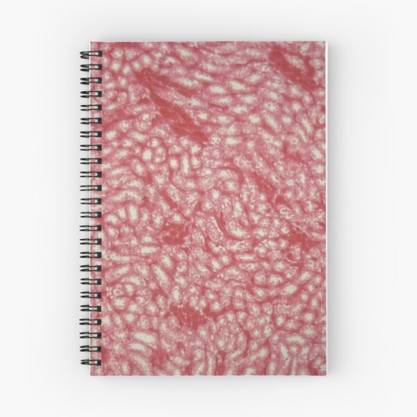 Item preview, Cuboidal epithelium of a mouse under the microscope. designed and sold by Zosimus.