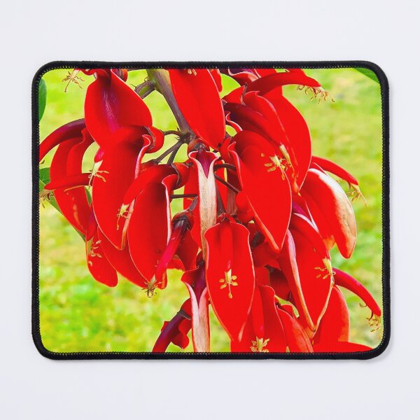 Item preview, red flowers at Belém garden designed and sold by Tereza Pilar  Art.