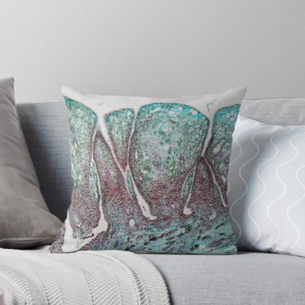 Item preview, Detail of a female pine cone under the microscope. designed and sold by Zosimus.
