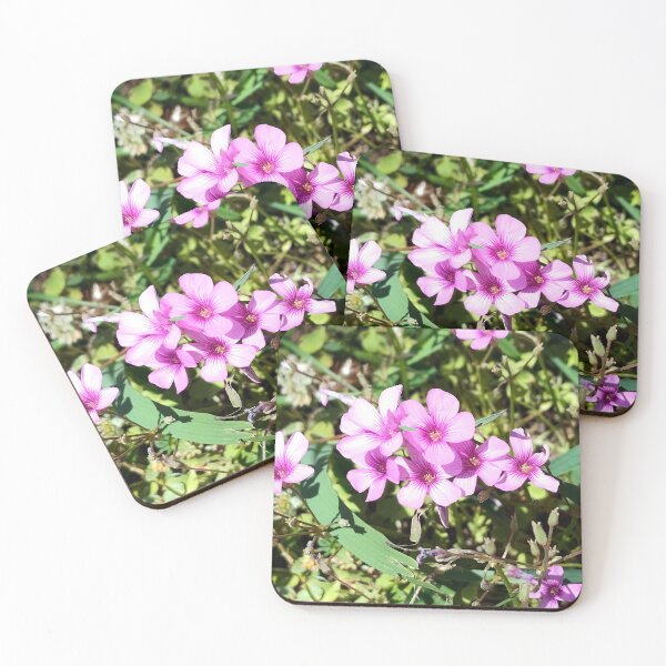 Item preview, Largeflower Pink-sorrel designed and sold by gistinker.