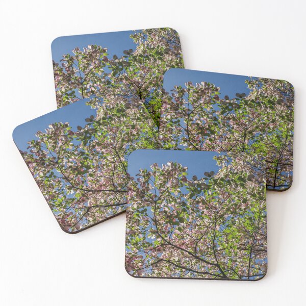 Item preview, Dogwoods  designed and sold by Kian  Burch.