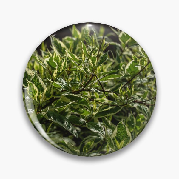 Item preview, Green Bushes 1 designed and sold by Kian  Burch.