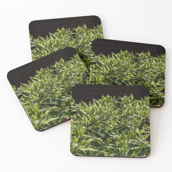 Item preview, Green Bushes 1 designed and sold by Kian  Burch.