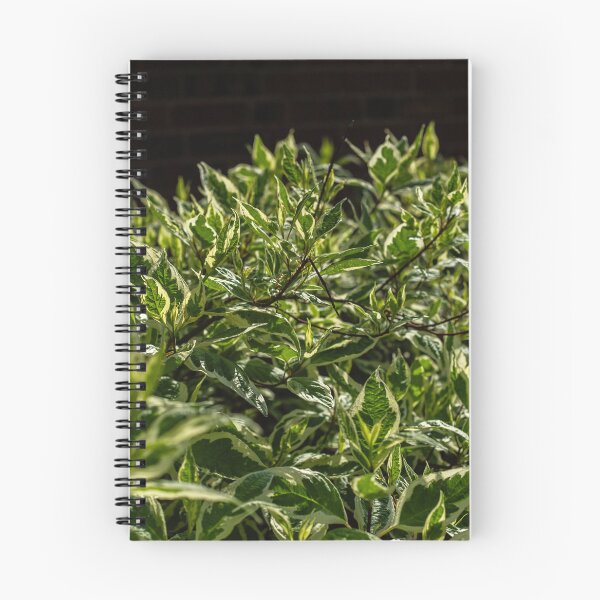 Item preview, Green Bushes 1 designed and sold by Kian  Burch.