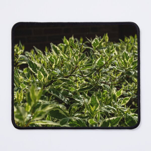 Item preview, Green Bushes 1 designed and sold by Kian  Burch.