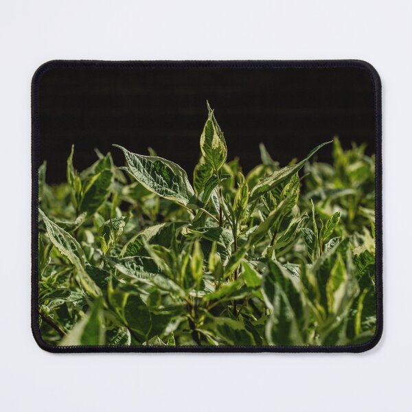 Item preview, Green Bushes 2 designed and sold by Kian  Burch.