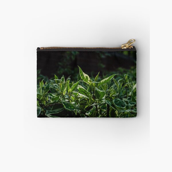 Item preview, Bush 3 designed and sold by Kian  Burch.