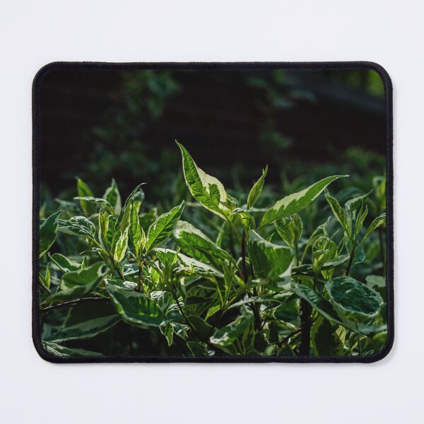 Item preview, Bush 3 designed and sold by Kian Burch.