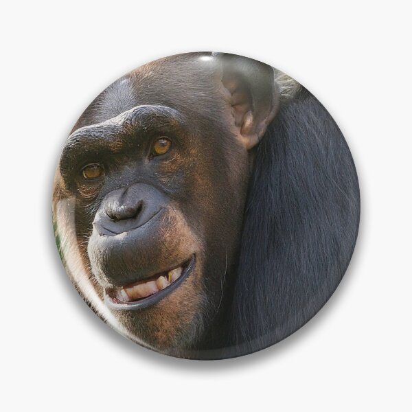 Item preview, Happy Chimpanzee designed and sold by kyxur.
