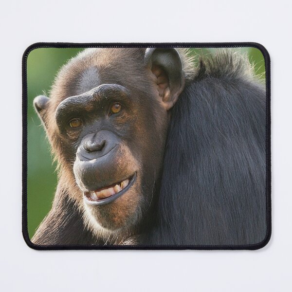Item preview, Happy Chimpanzee designed and sold by kyxur.