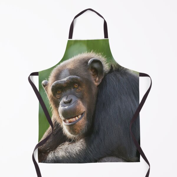Item preview, Happy Chimpanzee designed and sold by kyxur.