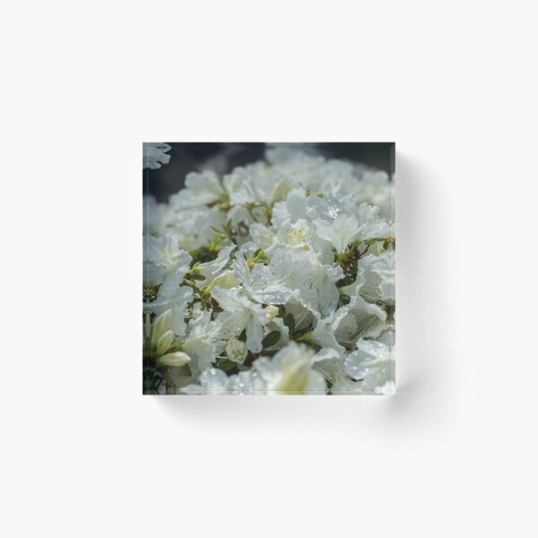 Item preview, white flowers  designed and sold by Kian  Burch.