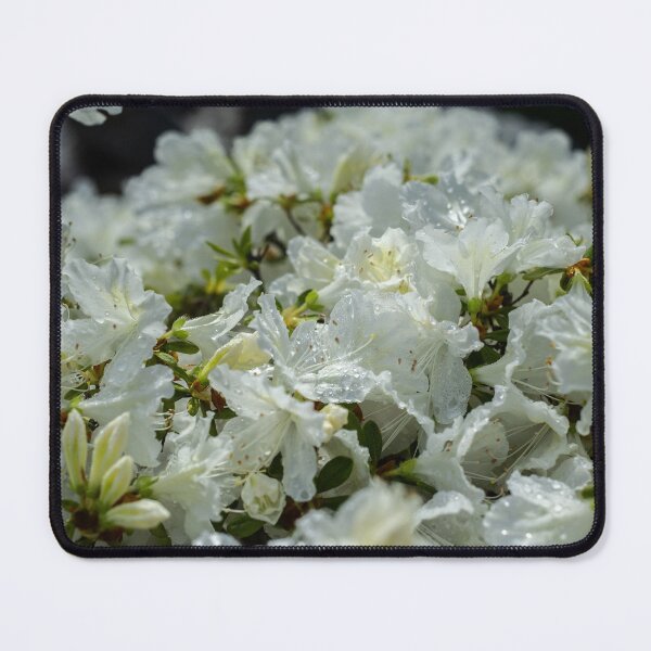 Item preview, white flowers  designed and sold by Kian  Burch.