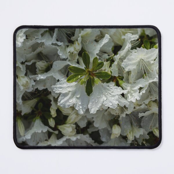 Item preview, Raindrops White Flowers  designed and sold by Kian  Burch.