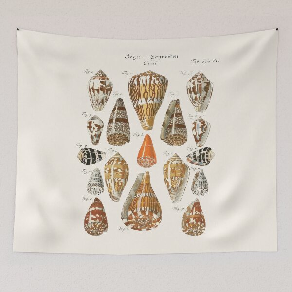Item preview, Vintage Seashells Encyclopedia Illustration designed and sold by CJVisions.