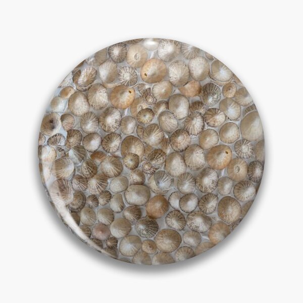 Item preview, SEA SHELL MOSAIC designed and sold by ABEBERMANCHUTE.
