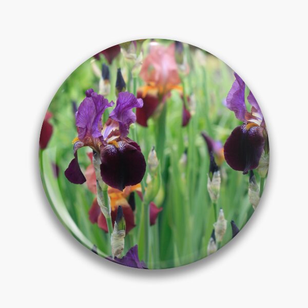 Item preview, Colorful iris in spring garden designed and sold by olena2552.
