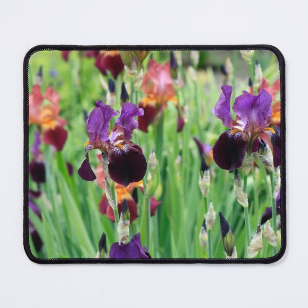 Item preview, Colorful iris in spring garden designed and sold by olena2552.