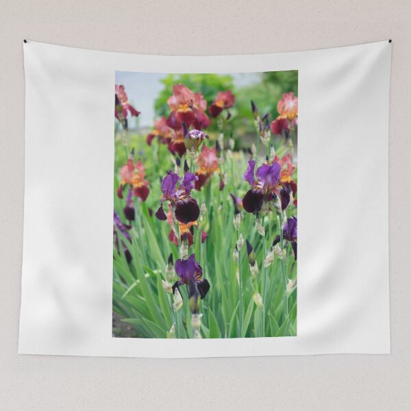 Item preview, Colorful iris in spring garden designed and sold by olena2552.