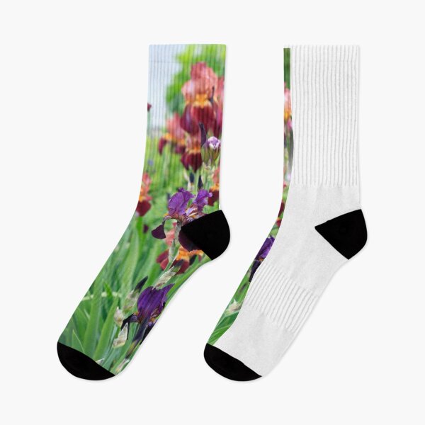 Item preview, Colorful iris in spring garden designed and sold by olena2552.